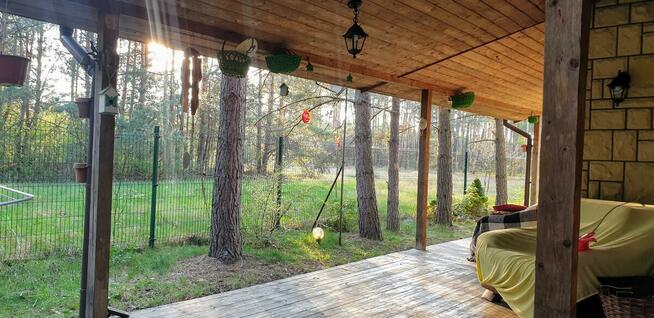 Magiczne Wieczory Panieńskie w Sercu Natury