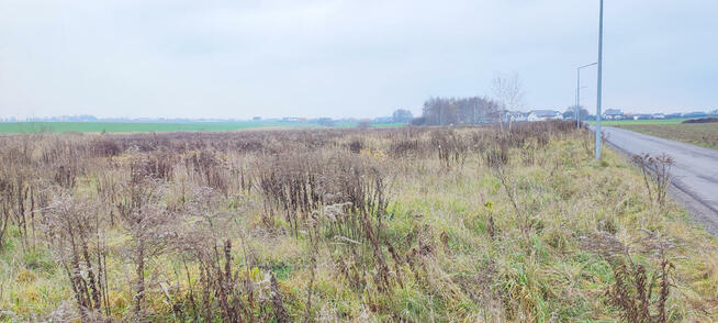 Urokliwa działka budowlana pod Poznaniem!