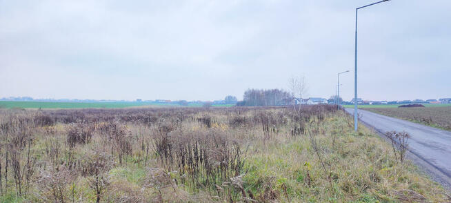 Urokliwa działka budowlana pod Poznaniem!