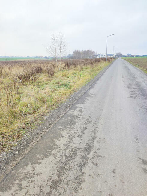 Urokliwa działka budowlana pod Poznaniem!