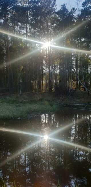 Magiczne Wieczory Panieńskie w Sercu Natury