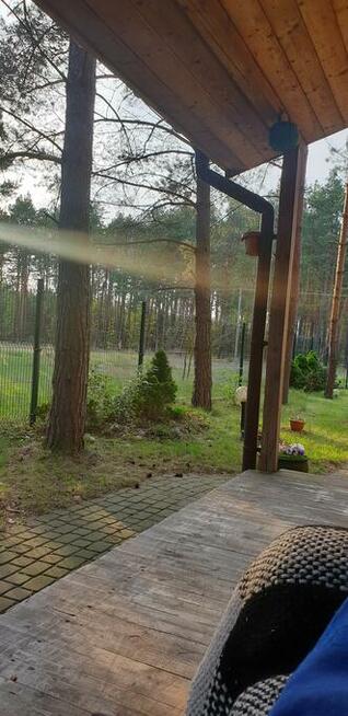 Magiczne Wieczory Panieńskie w Sercu Natury