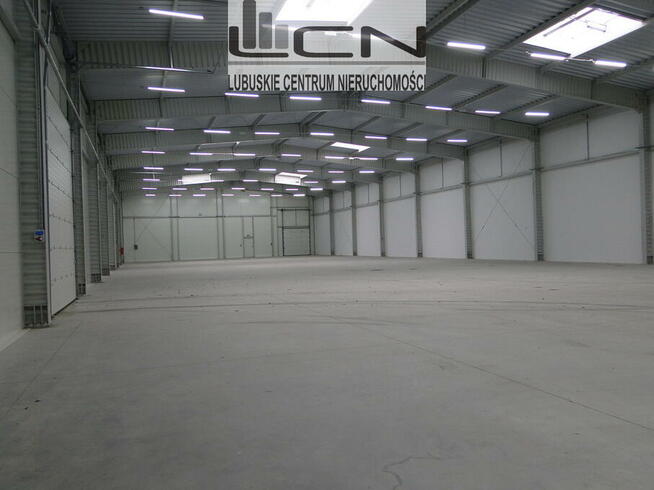 SPRZEDAŻ HALA 2900 m2 80 ar działka GORZÓW WLKP.