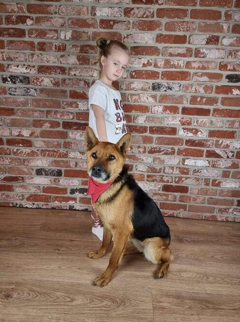 Pistacja, młoda suczka ONka, łągodna, wesoła - pokochaj ją!