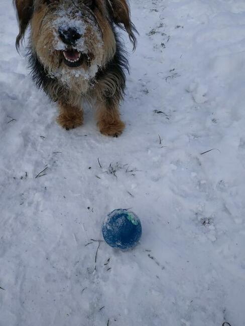 Witam chętnie podejmę konwersację z Panią w podobny wieku