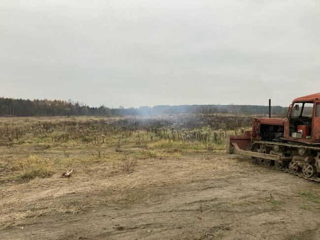 Spych, spycharka gąsienicowa DT-75, 75 KM, w 100% sprawna.