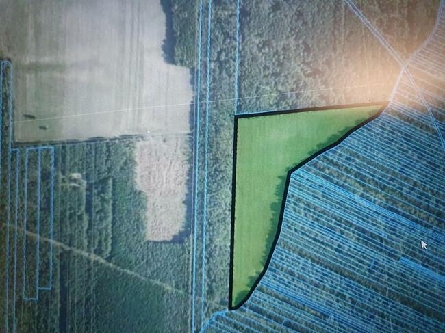 Sprzedam działkę rolną w Bedlenku 4,11 ha gm. Końskie