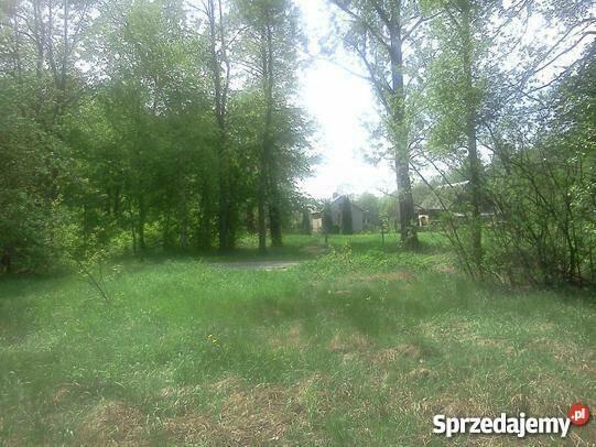 Duży, bardzo ładny teren przy Puszczy Kampinoskiej