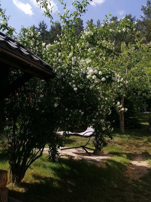 Dom letniskowy przy lesie i blisko jeziora w Lewinku