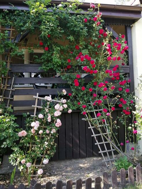 Dom letniskowy przy lesie i blisko jeziora w Lewinku