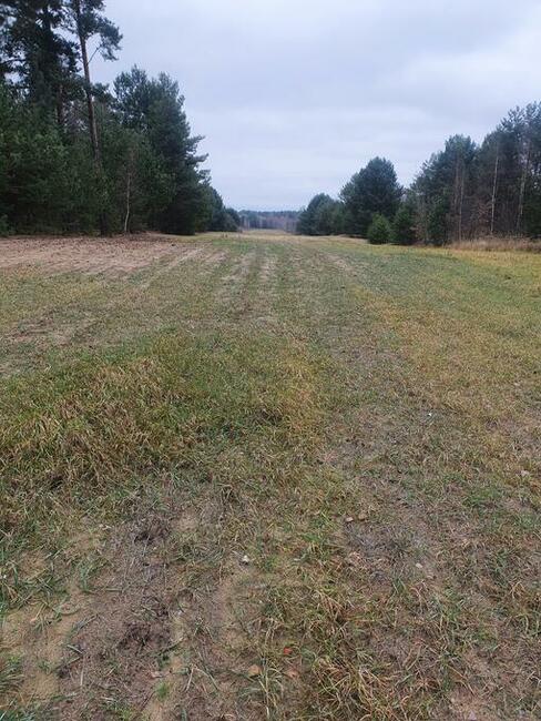 Sprzedam działkę rolną w Bedlenku 4,11 ha gm. Końskie