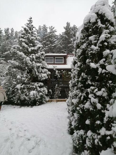 Dom letniskowy przy lesie i blisko jeziora w Lewinku