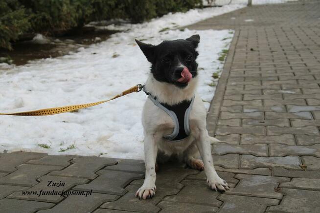 Zuzia - urocza dziewczynka