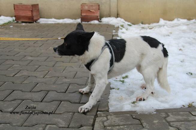 Zuzia - urocza dziewczynka