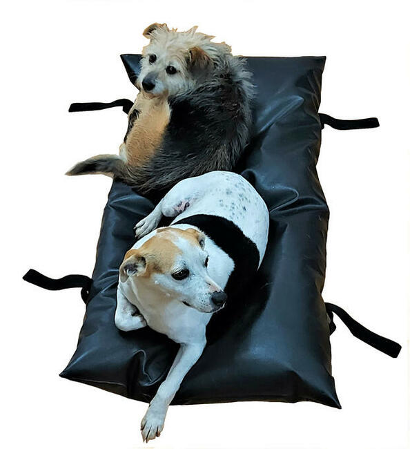 Legowisko posłanie dla psa i kota z pasami do mocowania