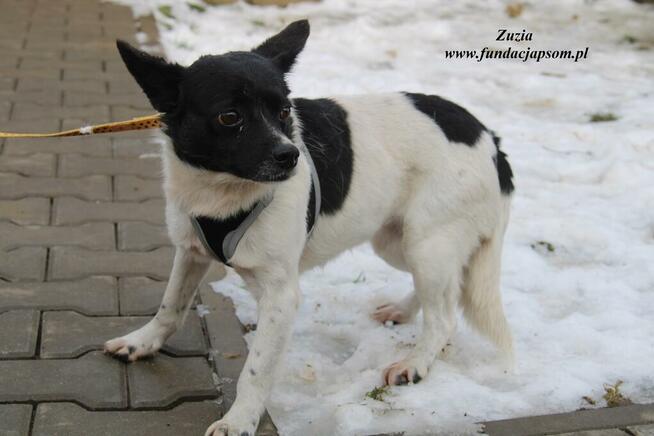 Zuzia - urocza dziewczynka