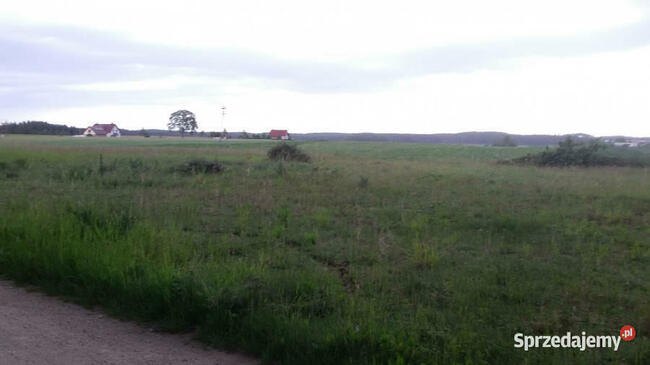 Działka budowlana na Kaszubach - Lipnica