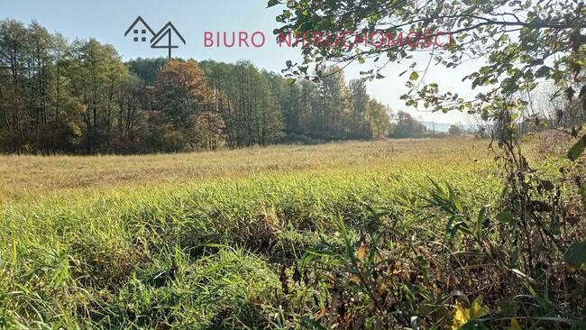 Słoneczna 32 arowa działka w Lutczy pod Twój dom