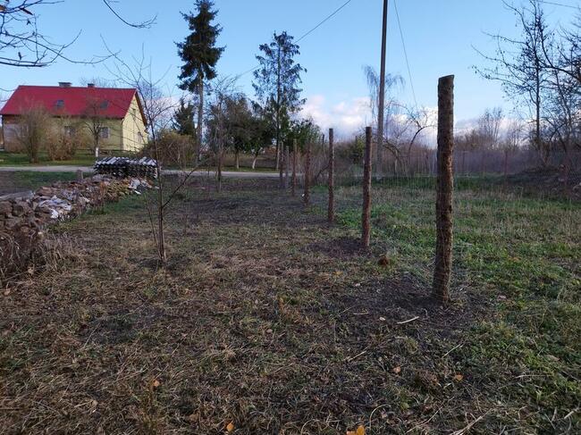 Sprzedam dom na działce rolnej