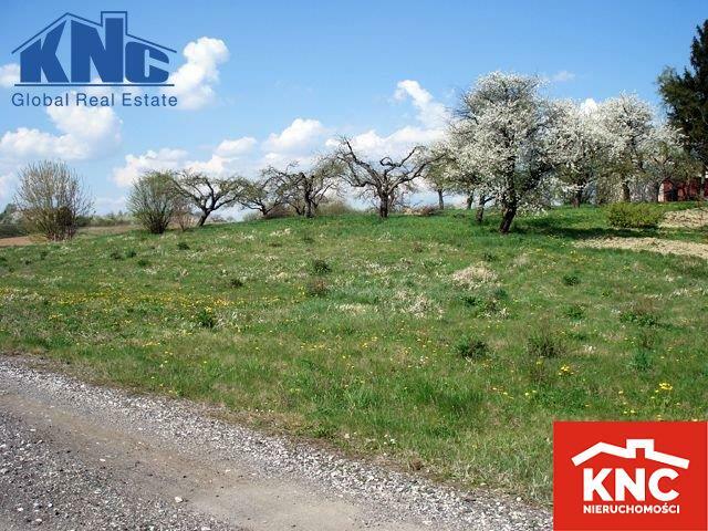 Działka rolna Motycz gm. Konopnica