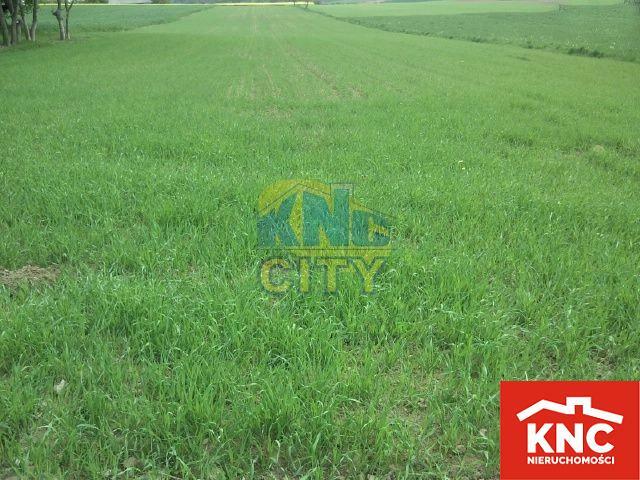 Działka rolno-budowlana Piotrowice Wielkie gm. Garbów