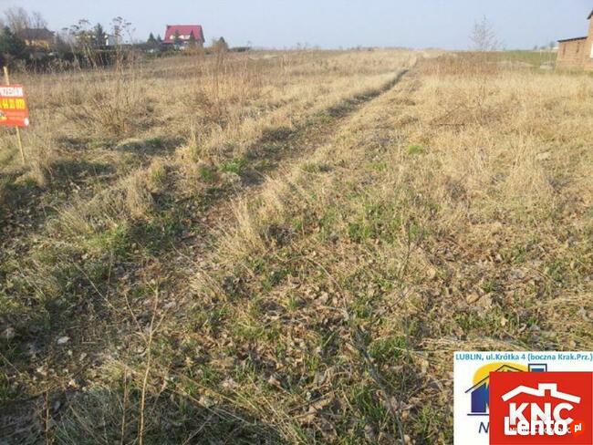 Działka rolna Świdniczek gm. Wólka