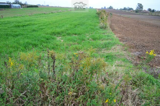 Działka budowlana Radawiec Duży gm. Konopnica