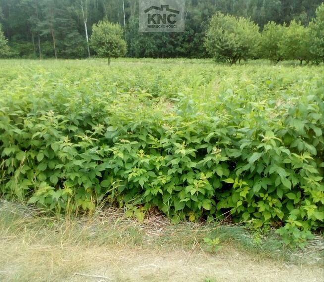 Działka budowlana Malinowszczyzna gm. Bełżyce