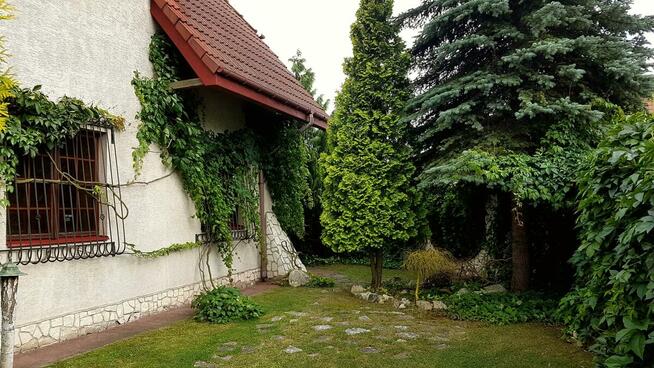 Lokal użytkowy Świdnik