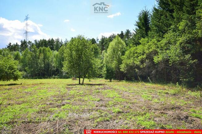 Działka rolna Pliszczyn gm. Wólka