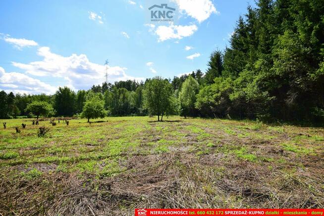 Działka rolna Pliszczyn gm. Wólka