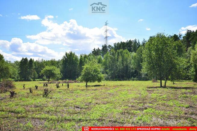 Działka rolna Pliszczyn gm. Wólka