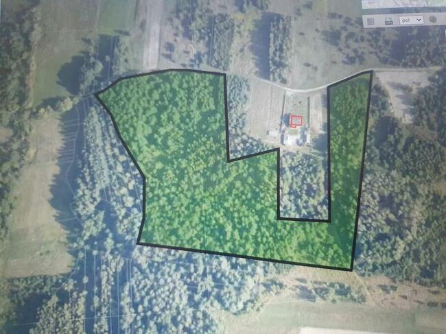 Sprzedam działkę rolną w Budach 2,91 ha gm. Bogoria