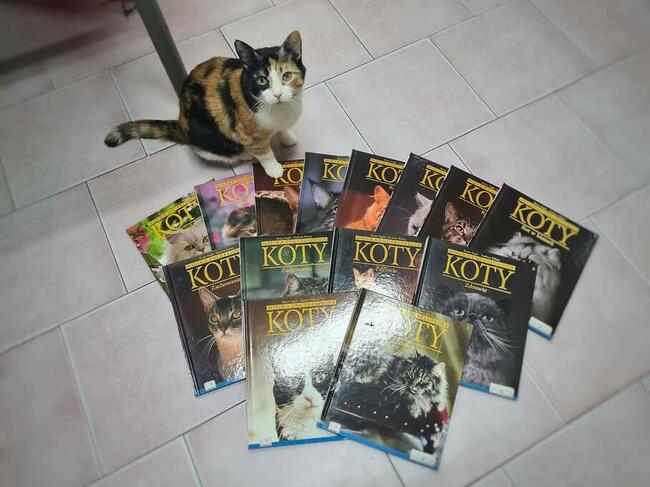 Balbina czeka już 5 lat