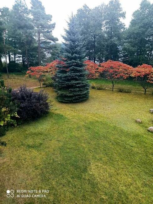 Nieruchomości komercyjne, inwestycyjne , działki na Mazurach