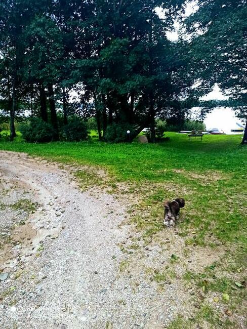 Nieruchomości komercyjne, inwestycyjne , działki na Mazurach