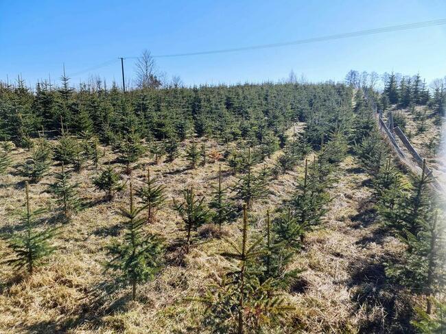 Nieruchomości komercyjne, inwestycyjne , działki na Mazurach