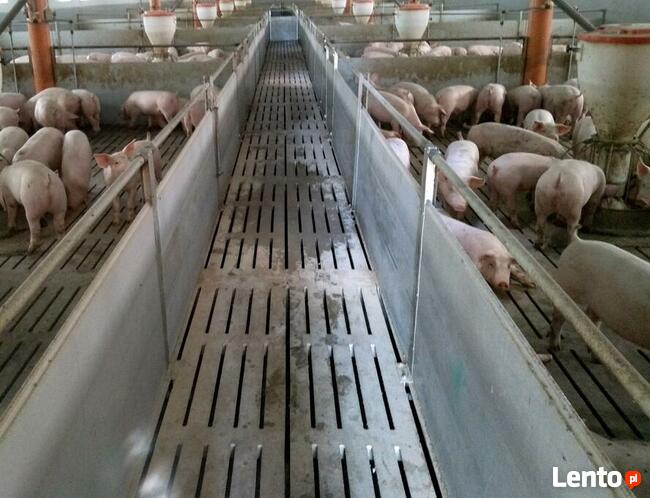 AMU do upłynniania gnojowicy, redukcji zapachu. Super mocny!