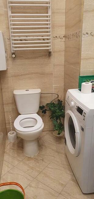 Wynajmę mieszkanie dla pracowników z Ukrainy