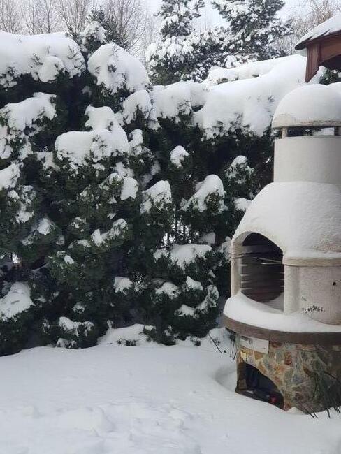 Budynek usługowy 270 m w dobrej lokalizacji