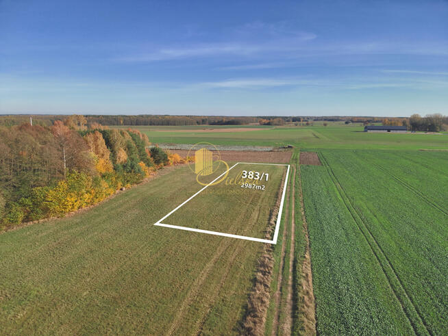 Kształtna działka WZ Zagrodowa