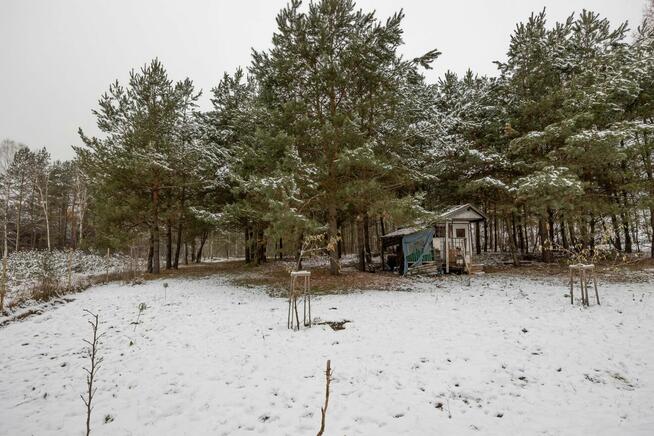 Dom Bryńsk gm. Lidzbark, Bryńsk