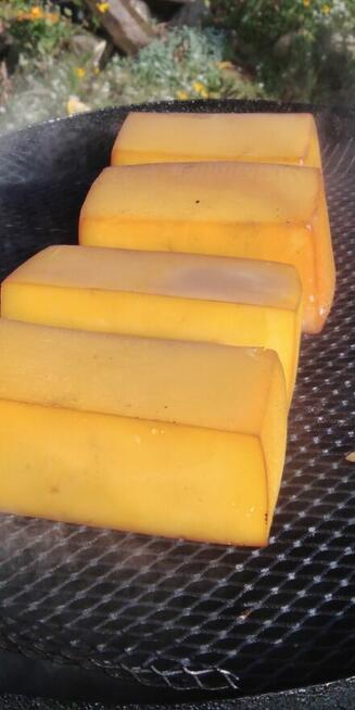 WĘDZARZ szuka pracy na sezon 2026 morze, góry