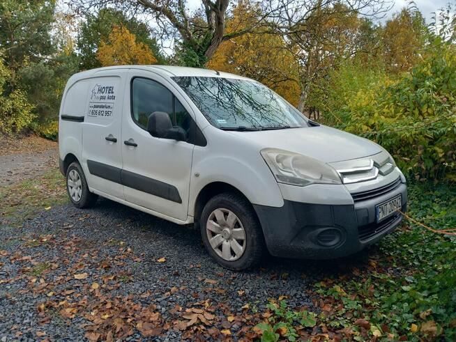 Hotel dla małego psa PSANATORIUM