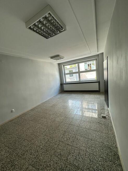 Lokale biurowe vis a vis Manufaktury