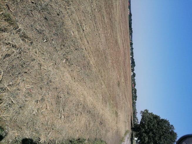 Mulczer leśny mulczowanie karczowanie czyszczenie działek