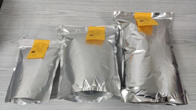 Cebula, nasiona cebuli Rijnsburger 5 - Robusta MK, 250 000 n