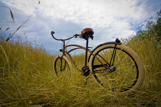 Rower miejski 26 28 beach Cruiser RoyalBi męski BLACK COFFEE