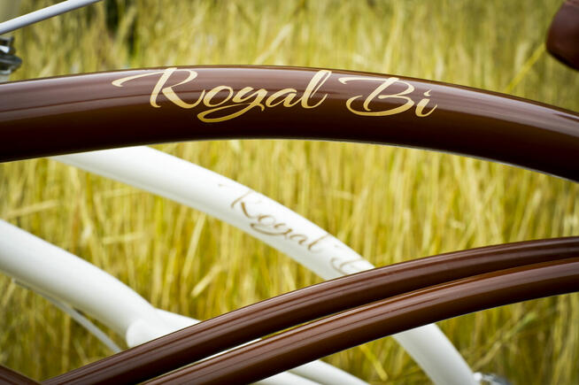 Rower miejski beach Cruiser RoyalBi męski 26 / 28 BROWNIE