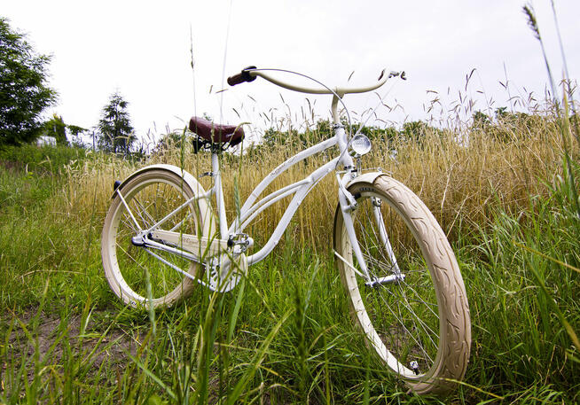 Rower miejski damski 26 28 cruiser damka CARMEL RoyalBi